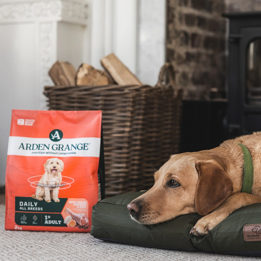 arden grange chicken and rice 14kg 7.webp