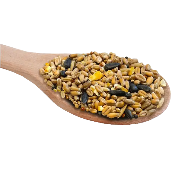 [WILD] Wild Bird Seed 20kg