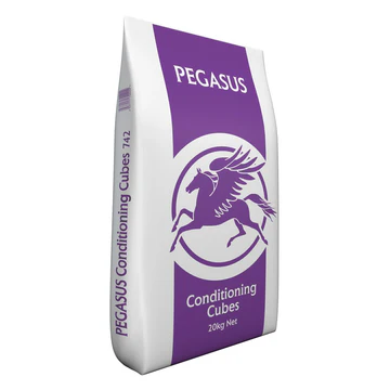[COND3] Pegasus Conditioning Cubes 20kg