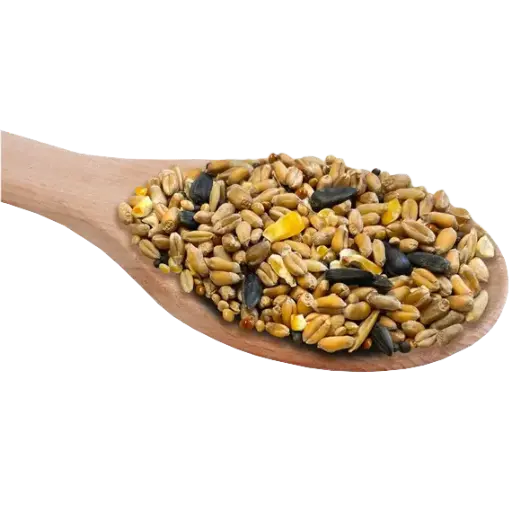 [WILD] Wild Bird Seed 20kg